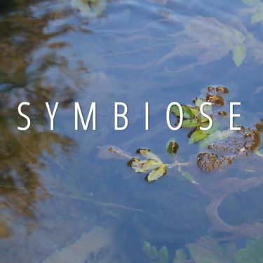 Symbiose